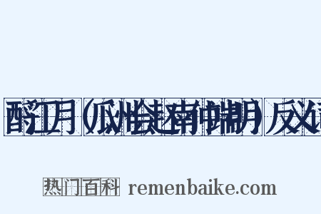 酹江月（瓜洲会赵南仲端明）反义词是什么意思的图片
